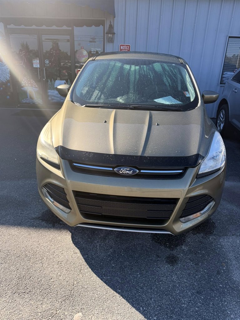 2014 Ford Escape SE's photo